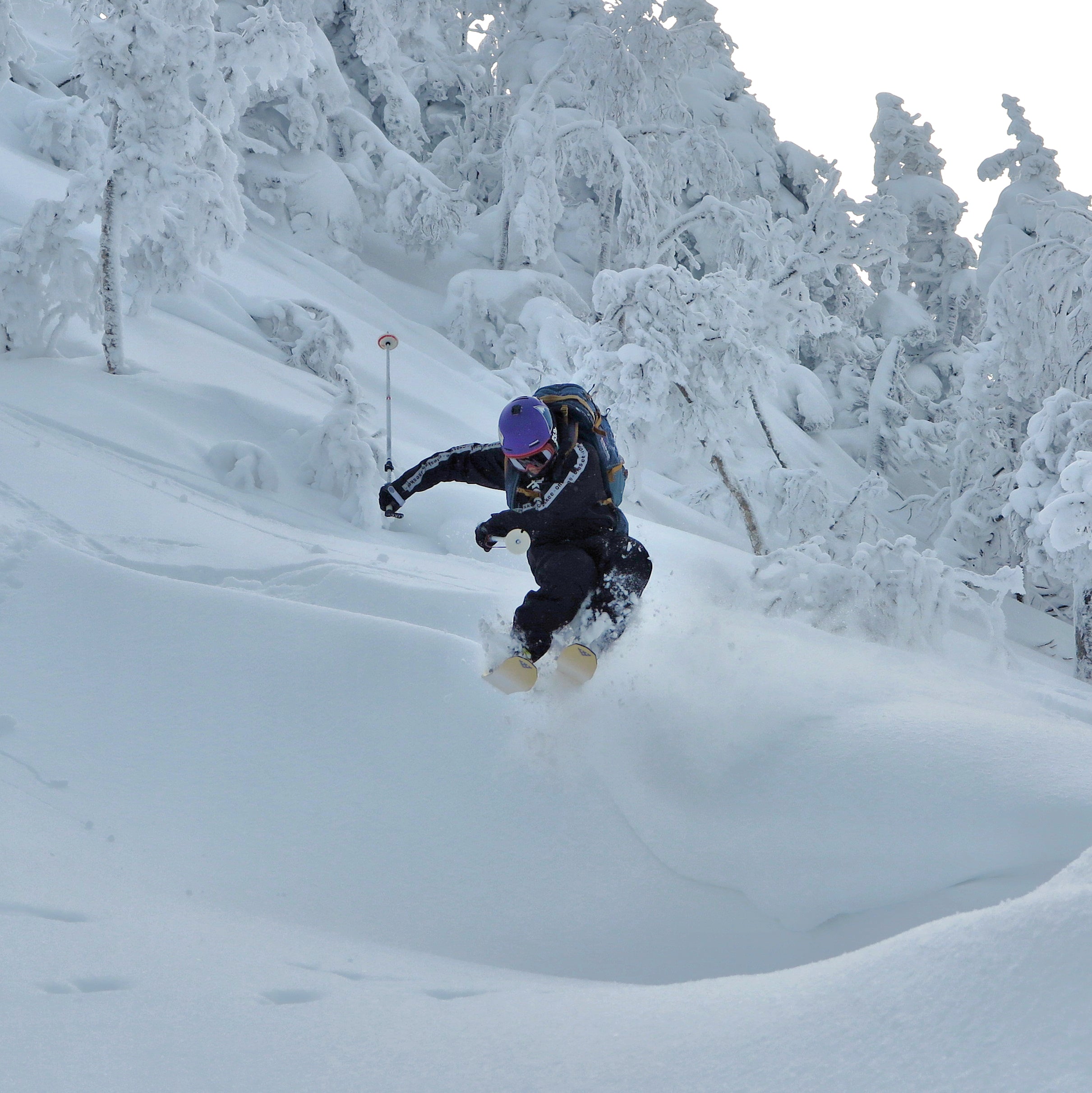 Oneskee Mark V Shell Suit