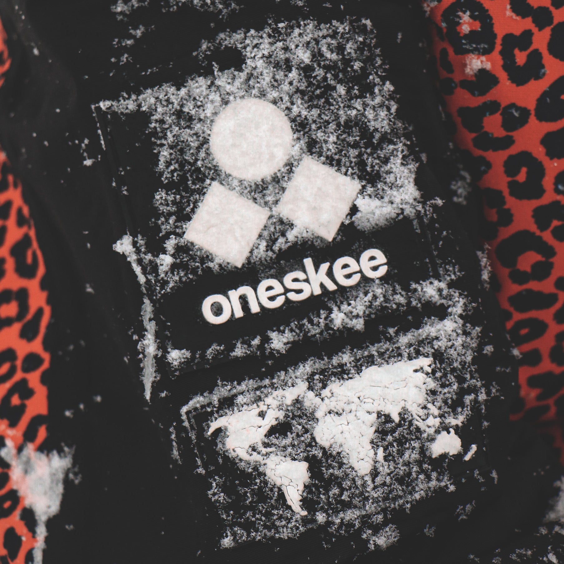 Oneskee - New Ski Gear & Styles Unveiled